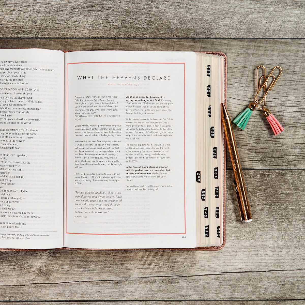 CSB She Reads Truth Bible, Rose Gold LeatherTouch, Indexed