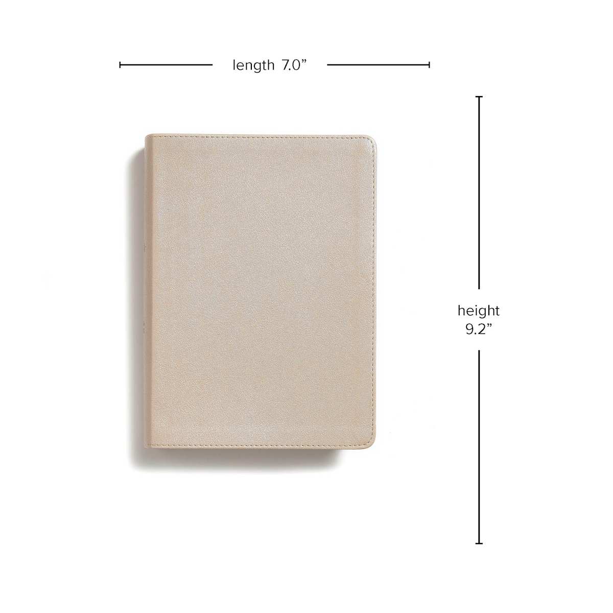 CSB She Reads Truth Bible, Champagne Gold LeatherTouch
