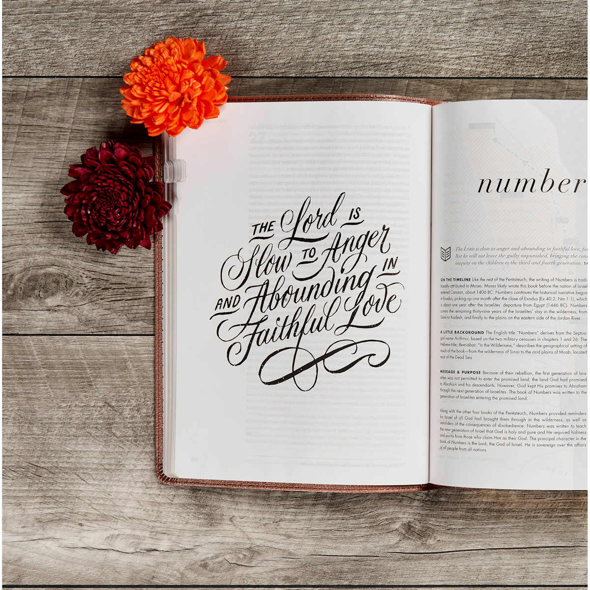 CSB She Reads Truth Bible, Rose Gold LeatherTouch, Indexed