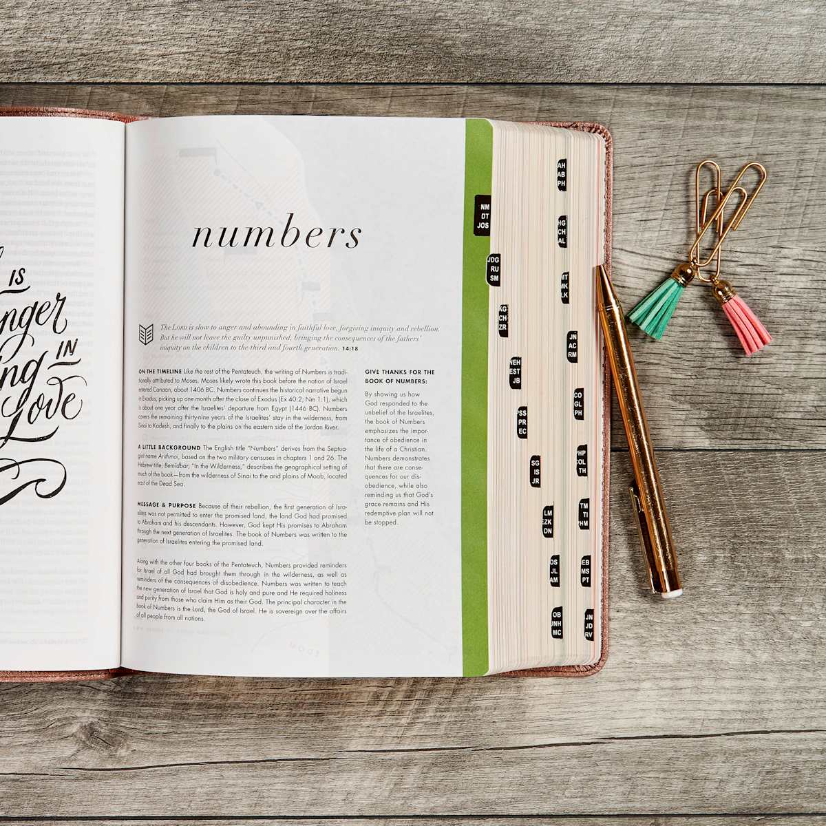 CSB She Reads Truth Bible, Rose Gold LeatherTouch, Indexed