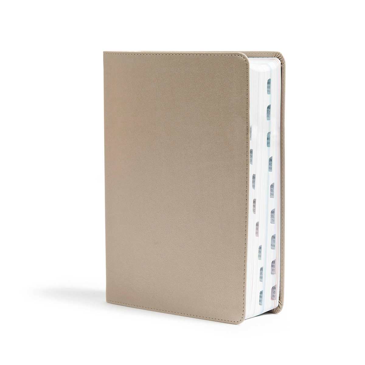 CSB She Reads Truth Bible, Champagne Gold LeatherTouch