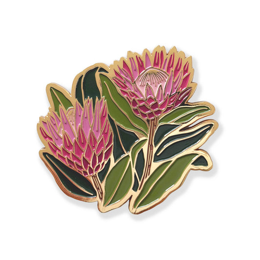 Paper Anchor Co. Coasters | King Protea